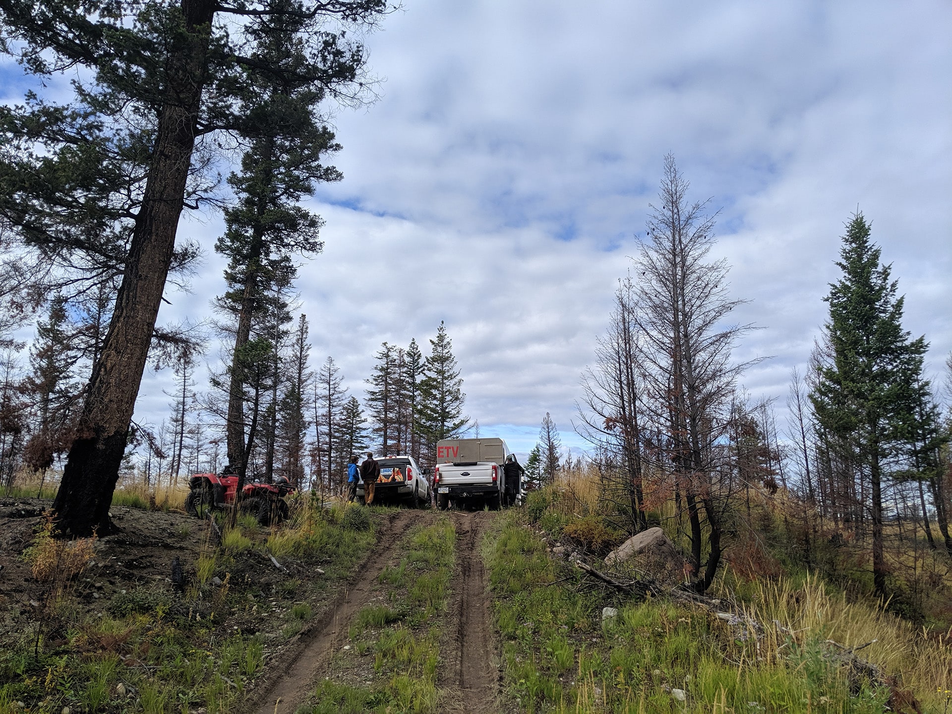 Crew-Tailgate-Reforestation-Services-Cariboo-Carbon-Solutions-min