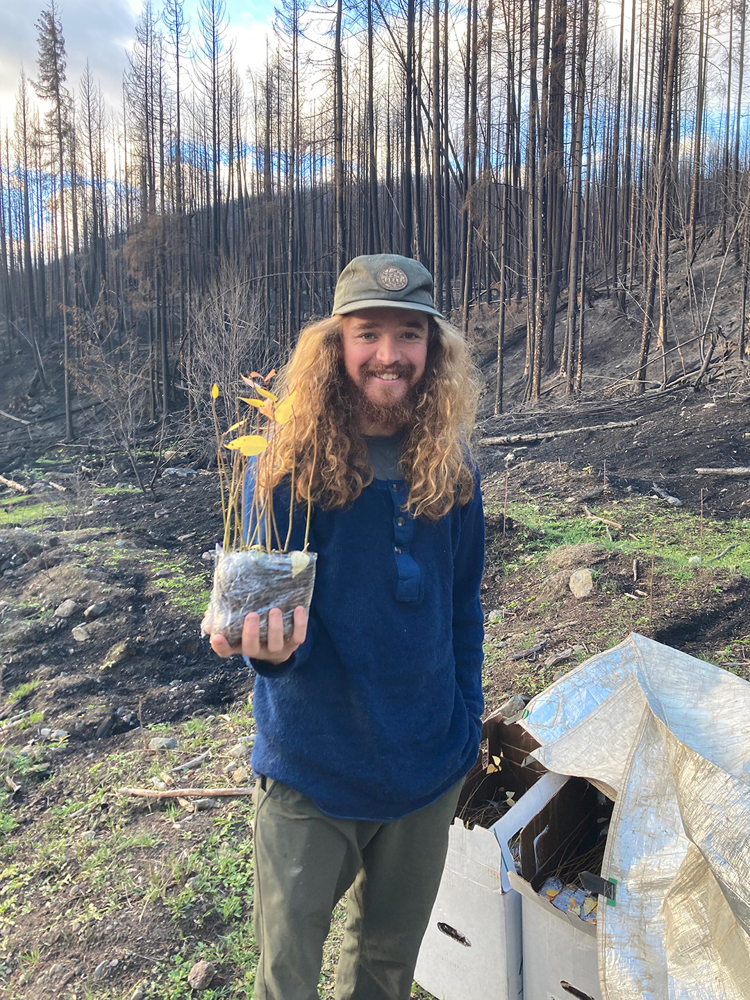 Ian-Holding-Aspen-Reforestation-Services-Cariboo-Carbon-Solutions
