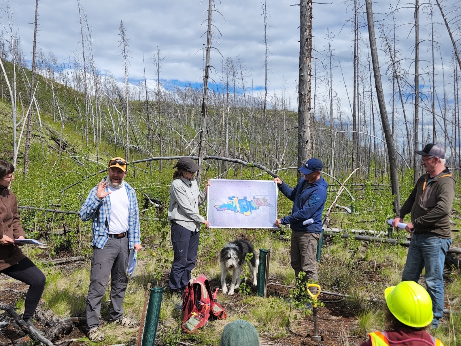 Wes-Field-Presentation-Silviculture-Services-Cariboo-Carbon-Solutions-Reforestation