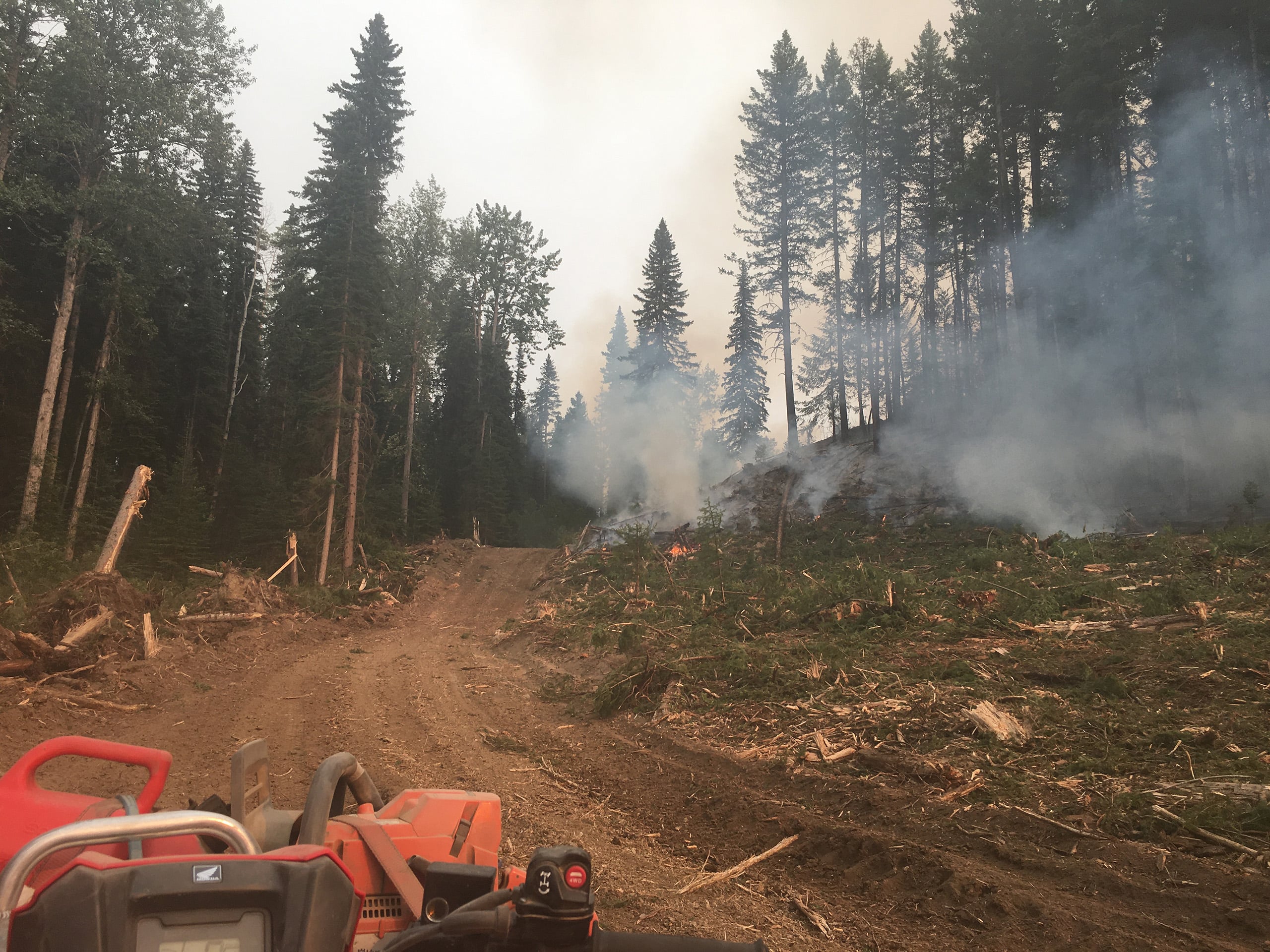 Wildland-Firefighting-Seeds-to-Trees-Cariboo-Carbon-Solutions-Reforestation-Ecosystem-Restoration