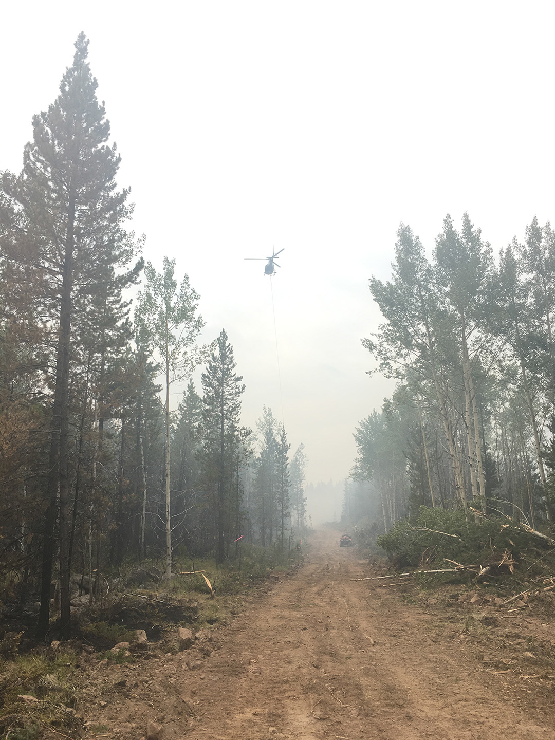 Wildland-Firefighting-Seeds-to-Trees-Cariboo-Carbon-Solutions-Reforestation-Ecosystem-Restoration